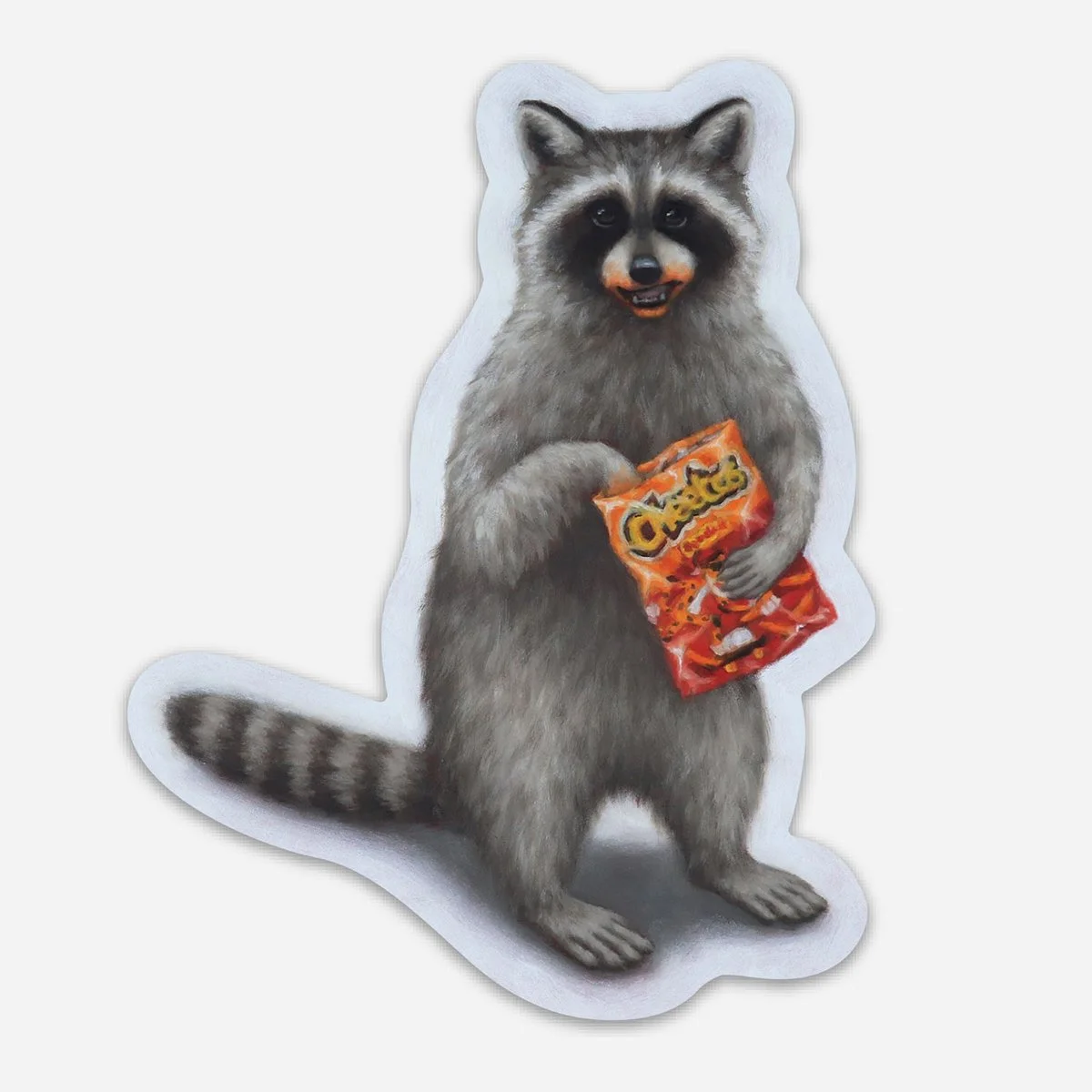 Raccoon holding crackers sticker — Sarah Becktel